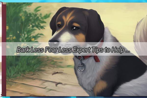 Bark Less Fear Less Expert Tips to Help Your Pooch Overcome Fireworks Fear